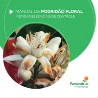 capa do ebook podridão floral