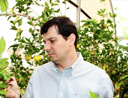 Pesquisador do Fundecitrus é eleito Engenheiro Agrônomo Destaque de 2013