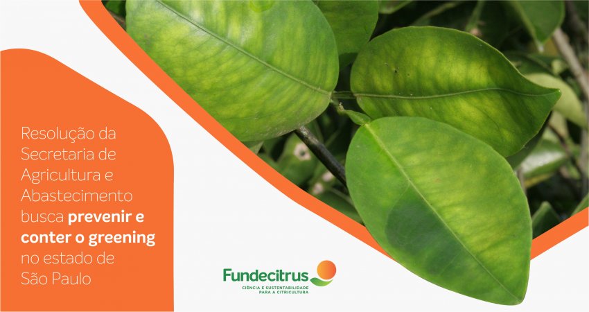 Resolução da Secretaria de Agricultura e Abastecimento de São Paulo traz novas regras para o controle do greening
