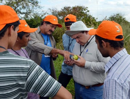 Fundecitrus abre inscrições para curso de capacitação de inspetores de pragas
