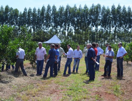 Caravana de citricultores conhece medidas de prevenção e controle de cancro cítrico em experimentos no Paraná
