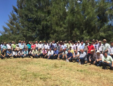 2º Dia de Campo de cancro cítrico reúne mais de 70 citricultores em experimento no Paraná