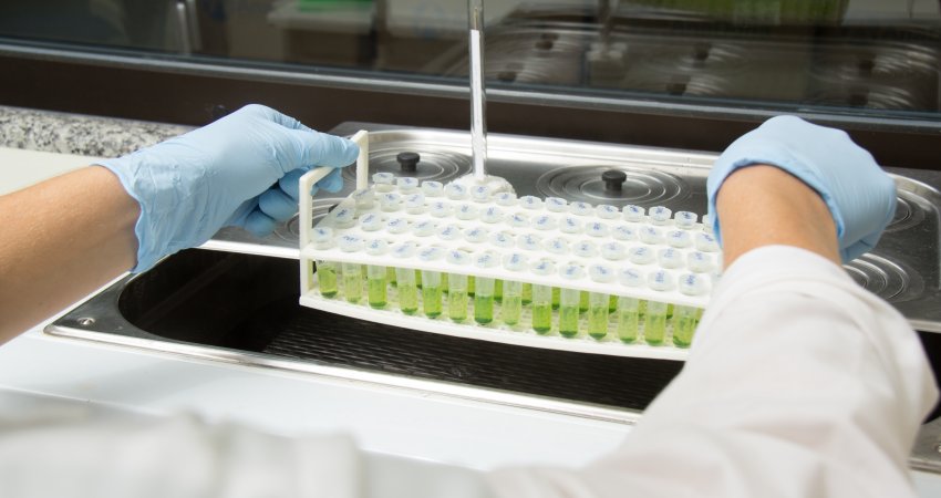 Fundecitrus abre processo seletivo de pós-doutorado nas áreas de Fitopatologia, Fitotecnia e Entomologia