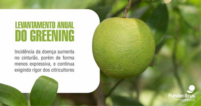 Incidência de greening chega a 44% no cinturão citrícola do estado de São Paulo e Triângulo/Sudoeste Mineiro