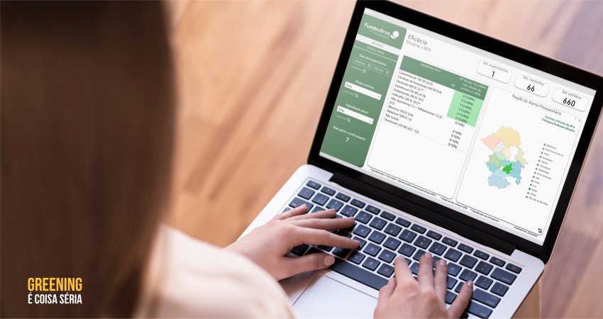 Avalia Psilídeo: nova atualização tem inclusão de população do inseto coletada na região de Brotas (SP)