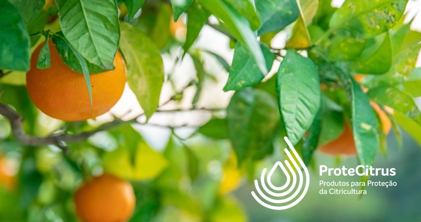 Lista ProteCitrus tem primeira atualização de 2025