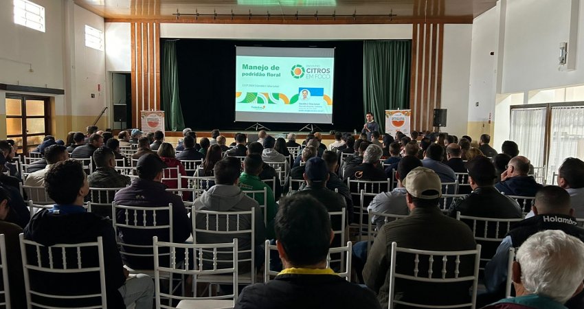Podridão floral e resistência do psilídeo a inseticidas foram temas do Citros em Foco de Campos de Holambra (SP)