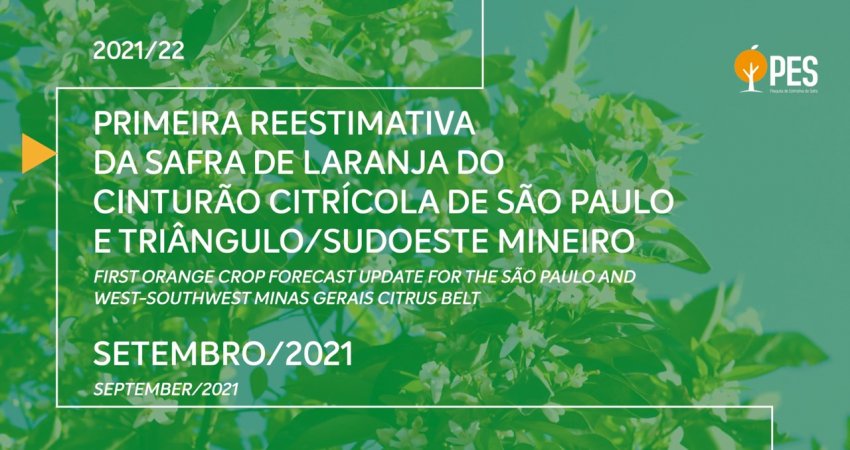 Falta de chuvas e geadas reduzem safra de laranja, reestimada em 267,87 milhões de caixas