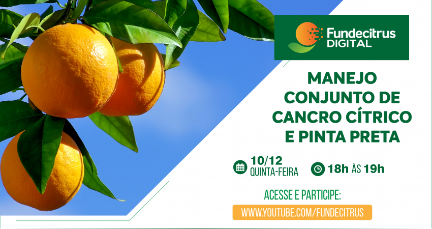 Manejo conjunto de cancro cítrico e pinta preta é tema de evento online do Fundecitrus